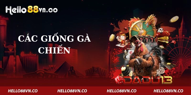 cac-giong-ga-chien