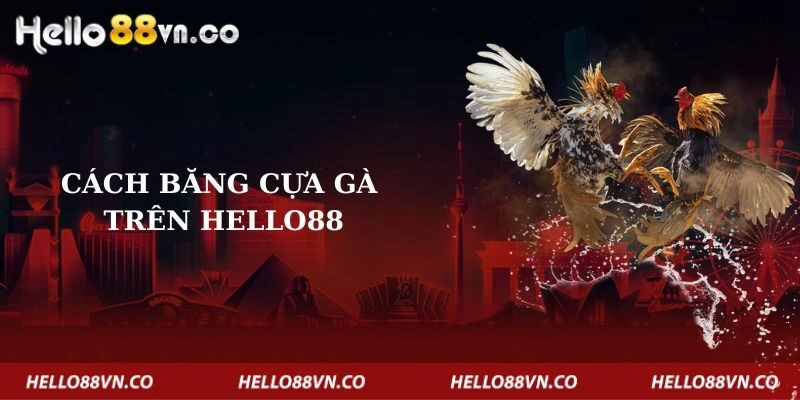 cach-bang-cua-ga-tren-hello88