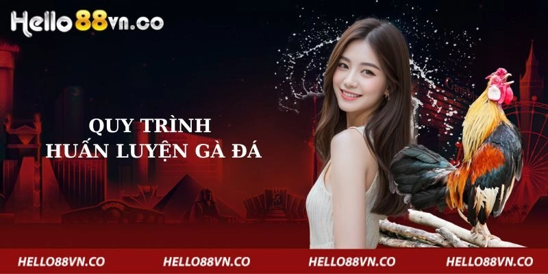 quy-trinh-huan-luyen-ga-da